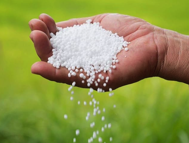 Comment utiliser l'urée (engrais azoté) ? Astuces pour augmenter la productivité agricole